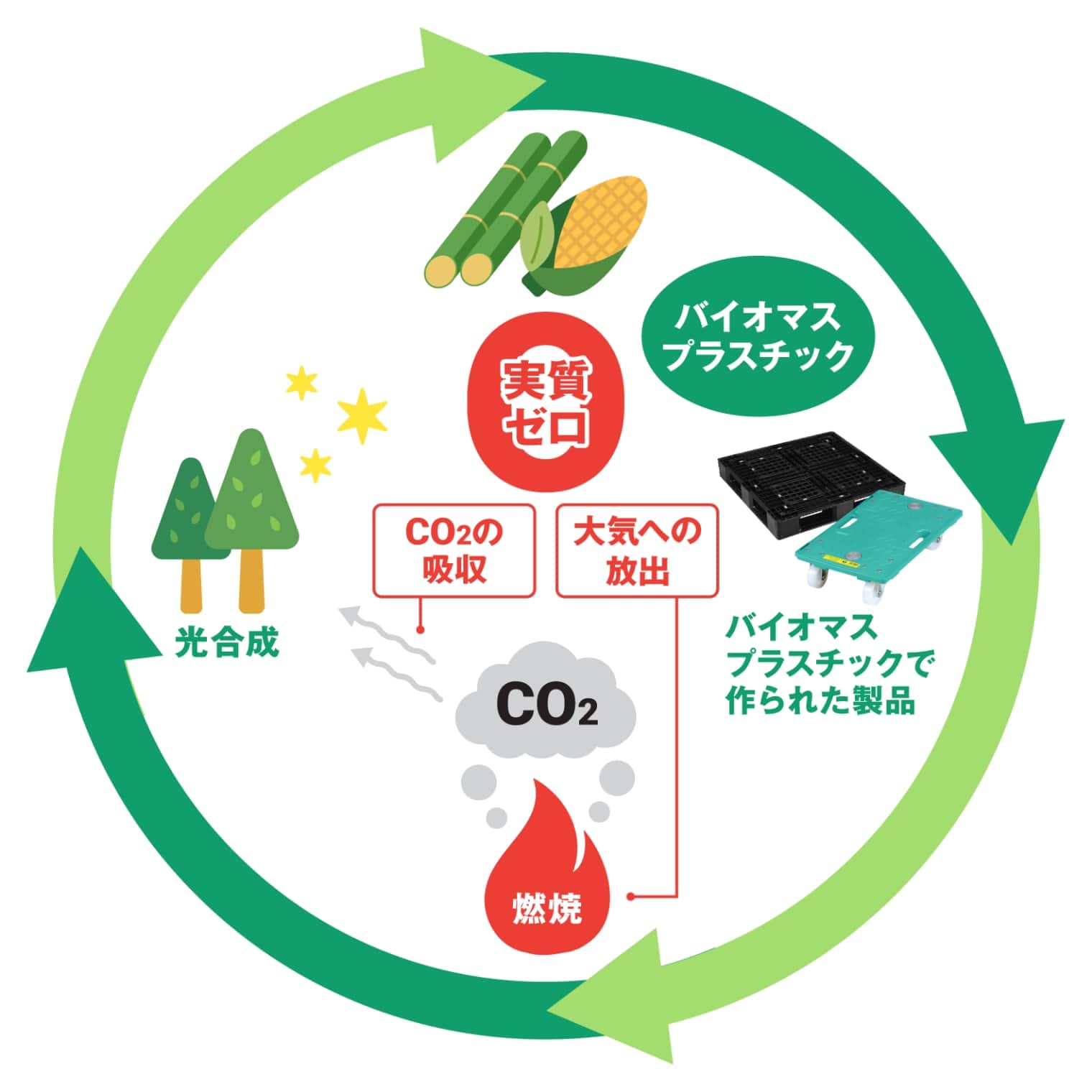 バイオマスプラスチックとは
