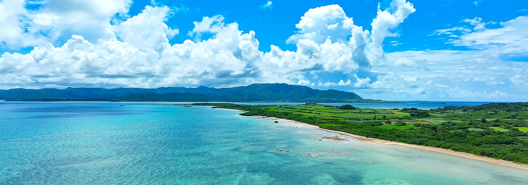 海洋ごみ対策のOBPパレット