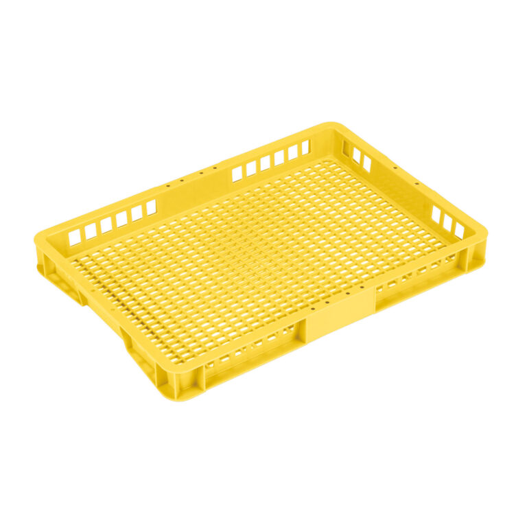 Ｔ－１２　イエロー