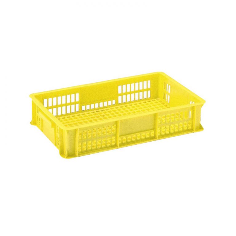 Ｔ－１９　イエロー