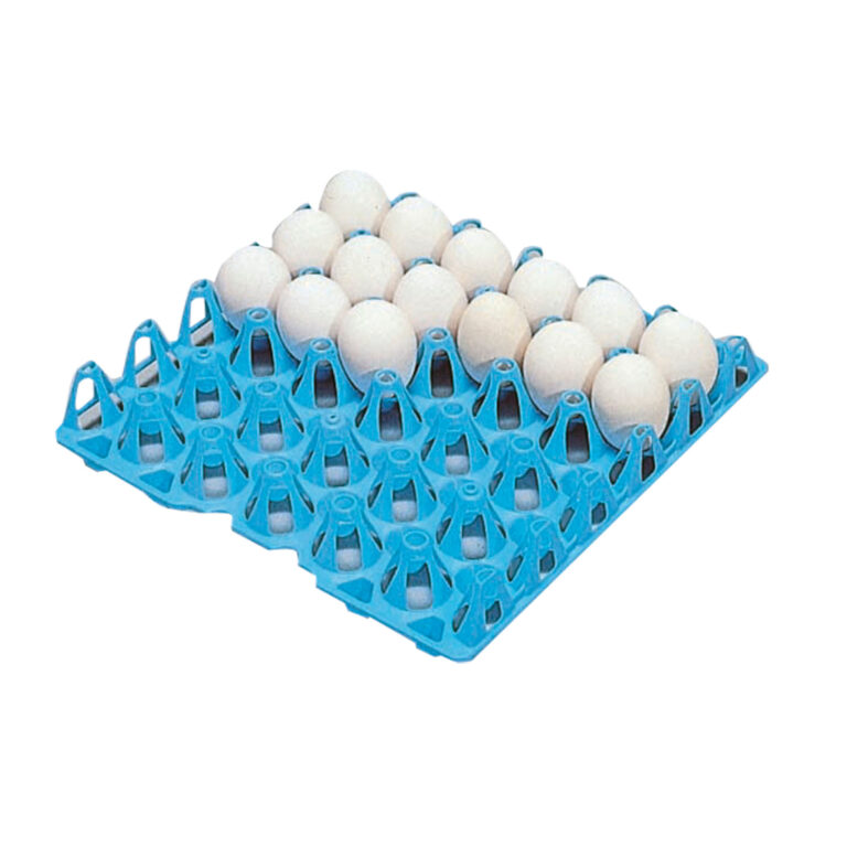 エッグトレー（30卵入）　ブルー