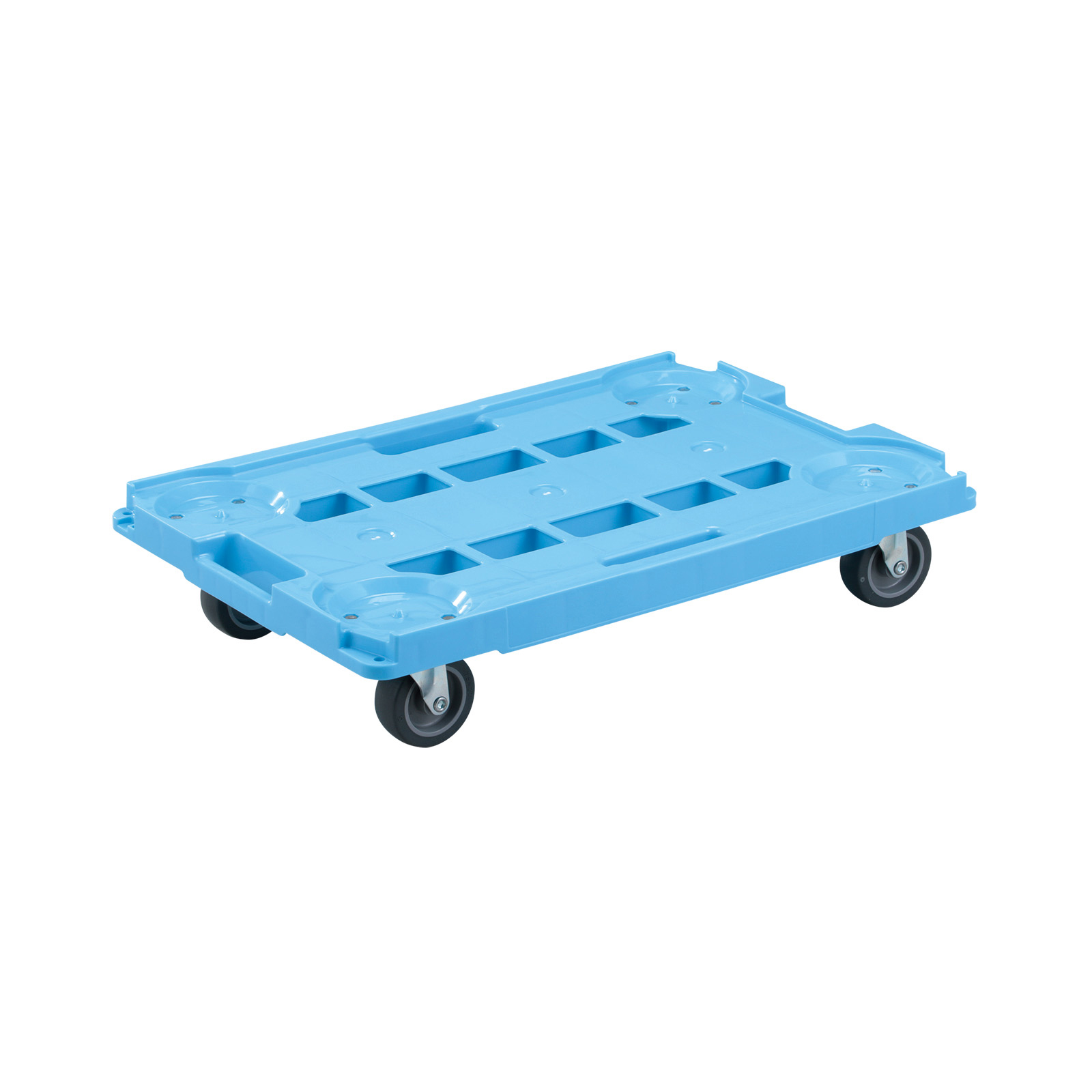 ピタキャリ50Ⅰ（RSキャリー53・37SS） ブルー | 岐阜