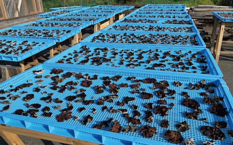 抗菌対応と高耐久で、安心・清潔な製造環境へ