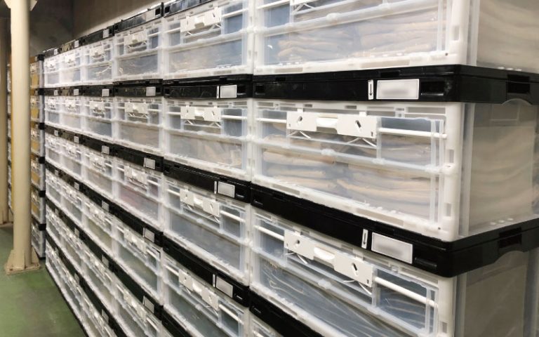 スタイリッシュさと環境配慮を両立した折りコンラック