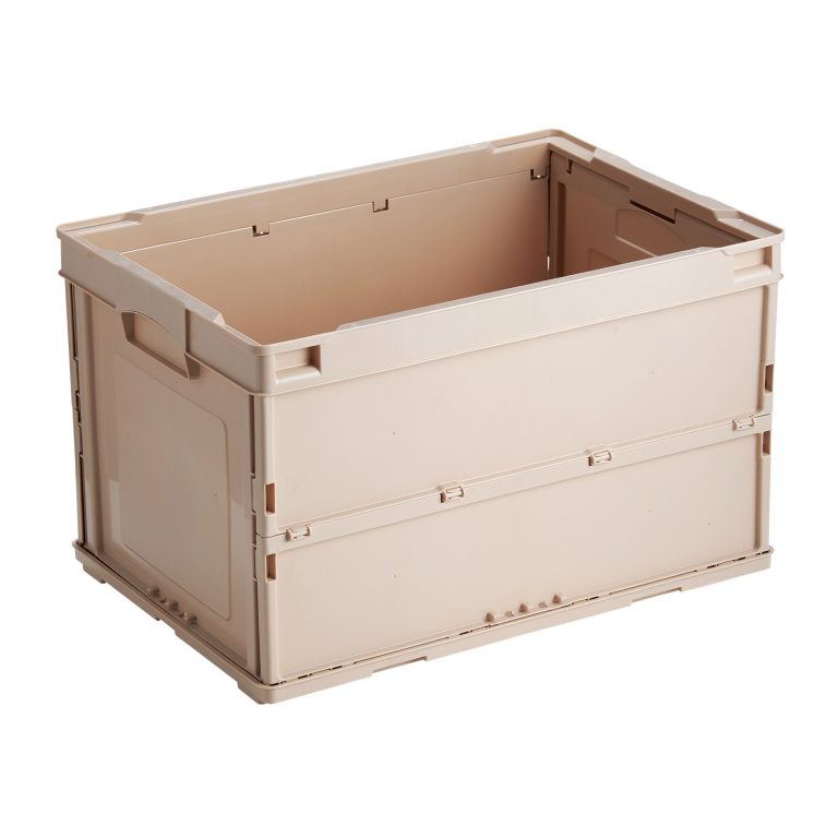 エンジェル折りコン５０蓋なしＬ（ＣＢ－Ｓ５１ＮＲＬ）　ブラウン